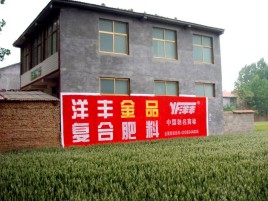 洛阳如何让墙体广告展现最大化效果