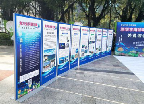 洛阳KT板的种类和知识。